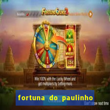 fortuna do paulinho do roupa nova