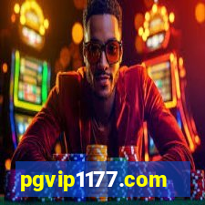 pgvip1177.com