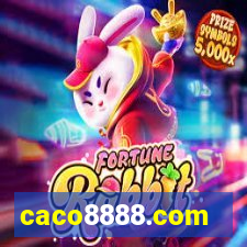 caco8888.com