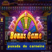 puxada do carneiro no jogo do bicho