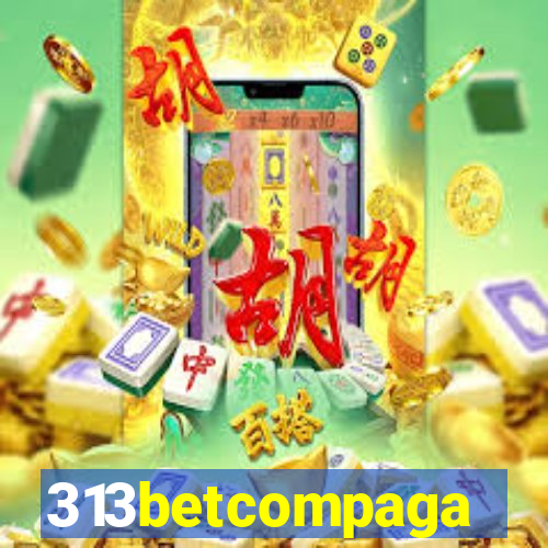 313betcompaga