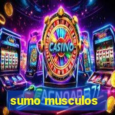 sumo musculos