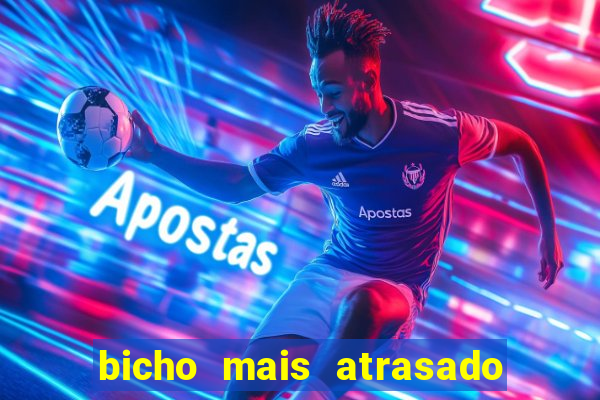 bicho mais atrasado na bahia