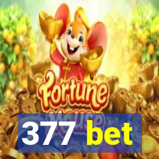 377 bet