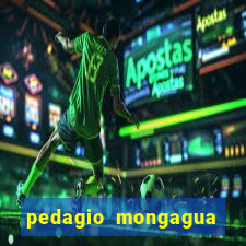 pedagio mongagua sao paulo