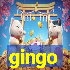 gingo