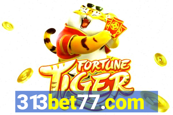 313bet77.com