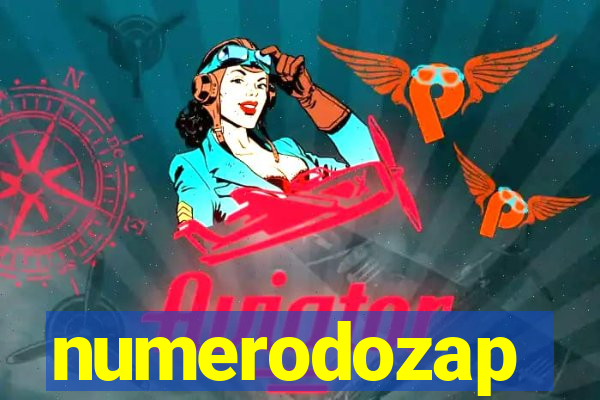 numerodozap