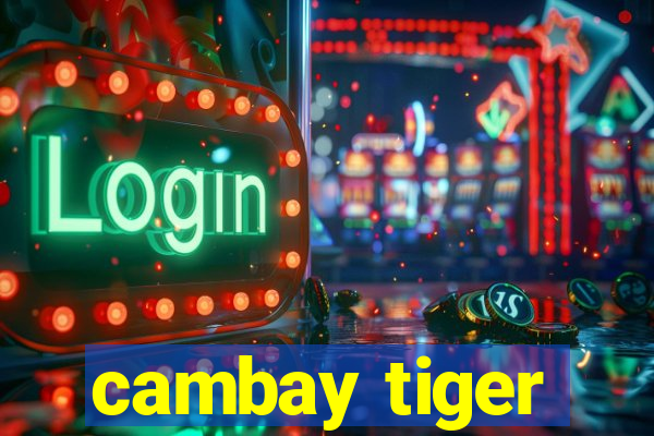 cambay tiger