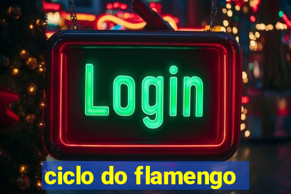 ciclo do flamengo