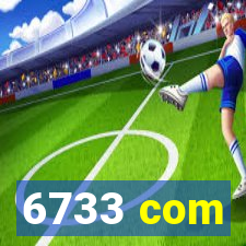 6733 com