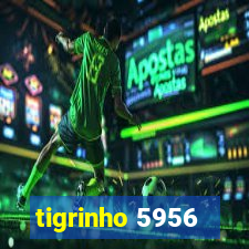 tigrinho 5956