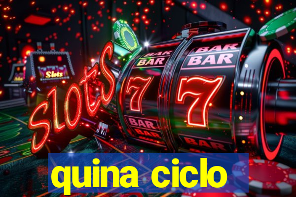 quina ciclo