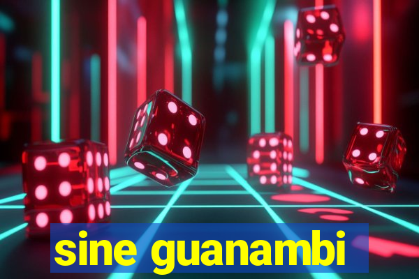 sine guanambi