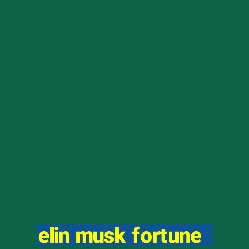 elin musk fortune