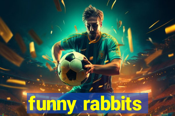 funny rabbits