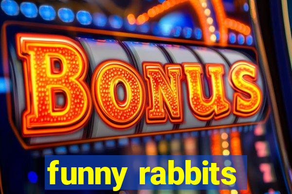 funny rabbits