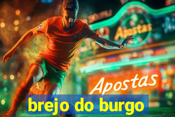 brejo do burgo