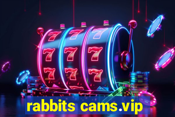 rabbits cams.vip