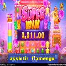 assistir flamengo play hd