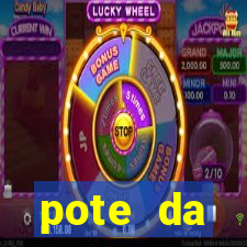 pote da prosperidade riqueza e fortuna 2024
