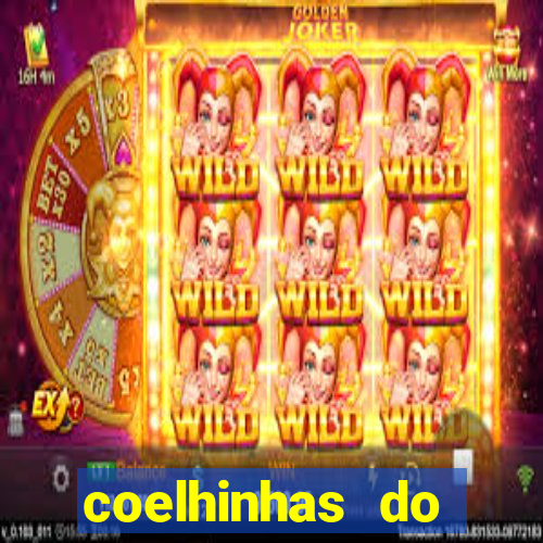 coelhinhas do brasil acompanhantes