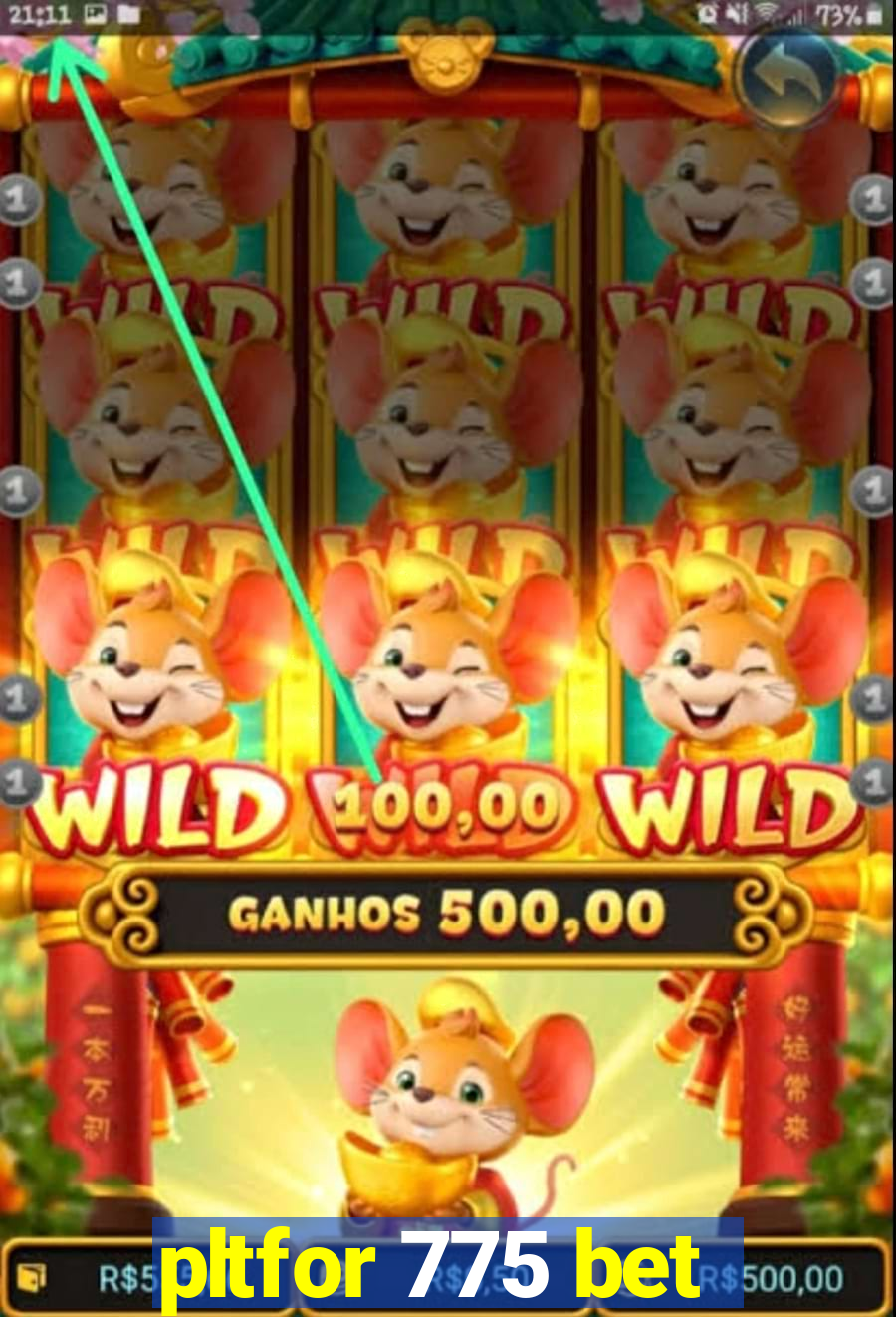 pltfor 775 bet