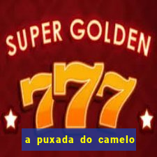 a puxada do camelo no jogo do bicho