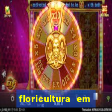 floricultura em lauro de freitas