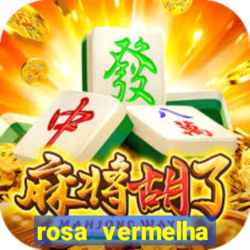 rosa vermelha (letra e cifra)
