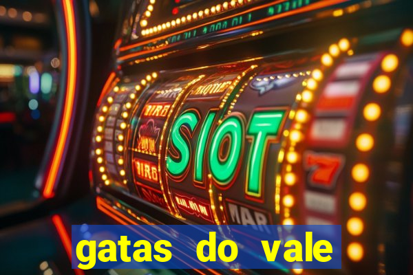 gatas do vale juazeiro bahia