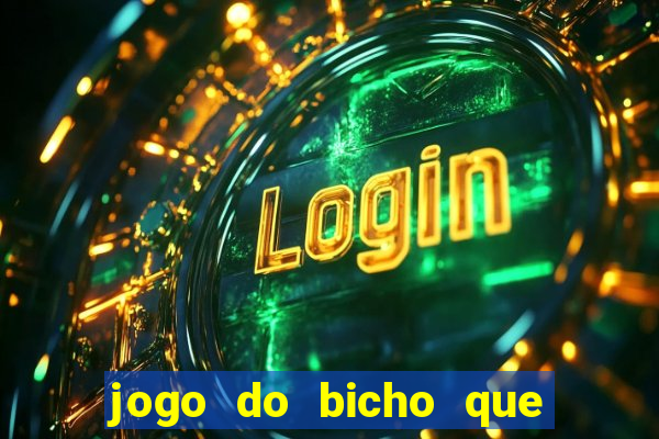jogo do bicho que paga no pix