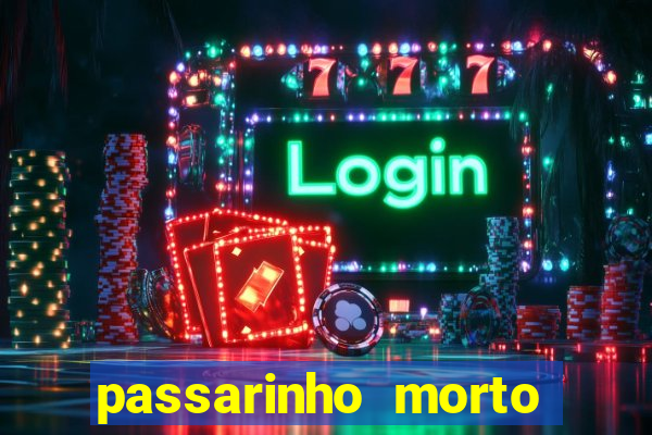 passarinho morto significado espiritual
