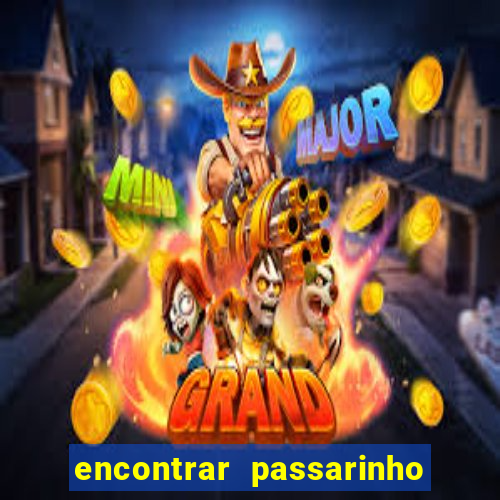 encontrar passarinho morto significado