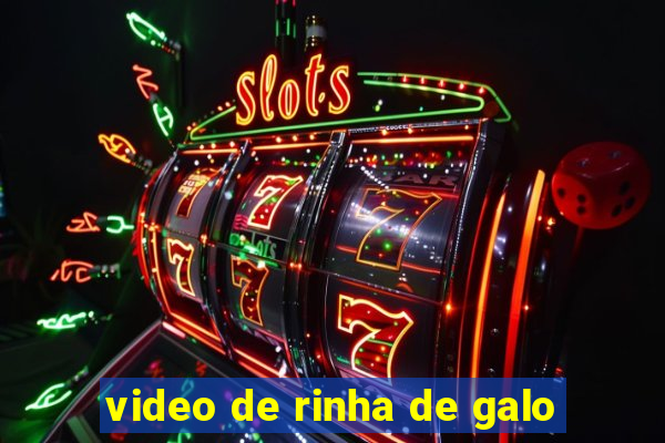 video de rinha de galo