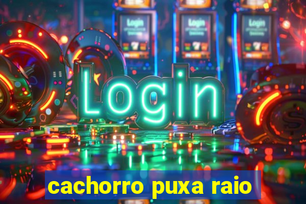 cachorro puxa raio