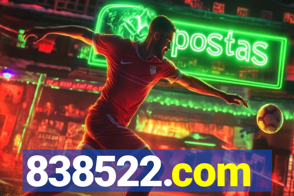 838522.com