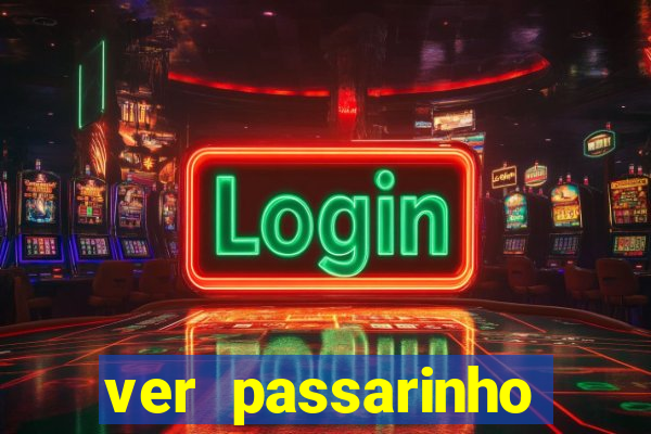 ver passarinho morto significado espiritual