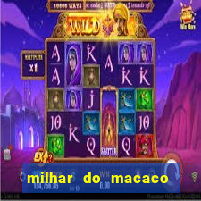 milhar do macaco que mais saem no jogo do bicho