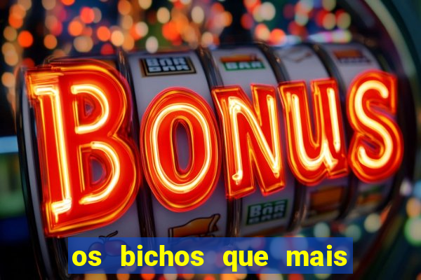os bichos que mais saem na loteria federal