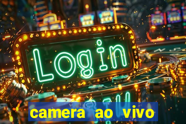 camera ao vivo beto carrero
