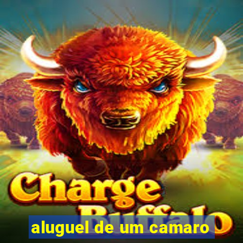 aluguel de um camaro