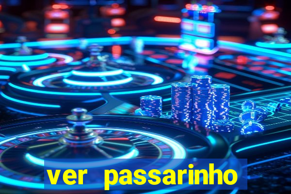 ver passarinho morto significado