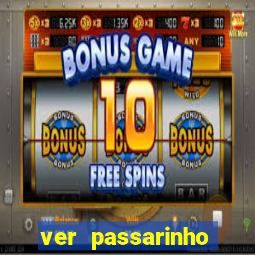ver passarinho morto significado