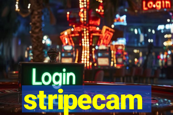 stripecam