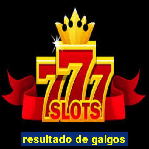 resultado de galgos