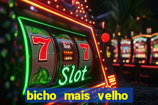 bicho mais velho da loteria dos sonhos