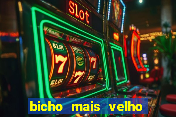 bicho mais velho da loteria dos sonhos