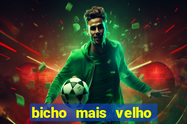 bicho mais velho da loteria dos sonhos