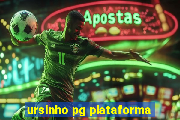 ursinho pg plataforma